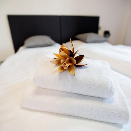 Exclusive Penzion Viva Residence Mladá Boleslav Екстериор снимка